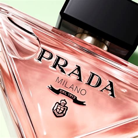 the essence vault prada paradoxe